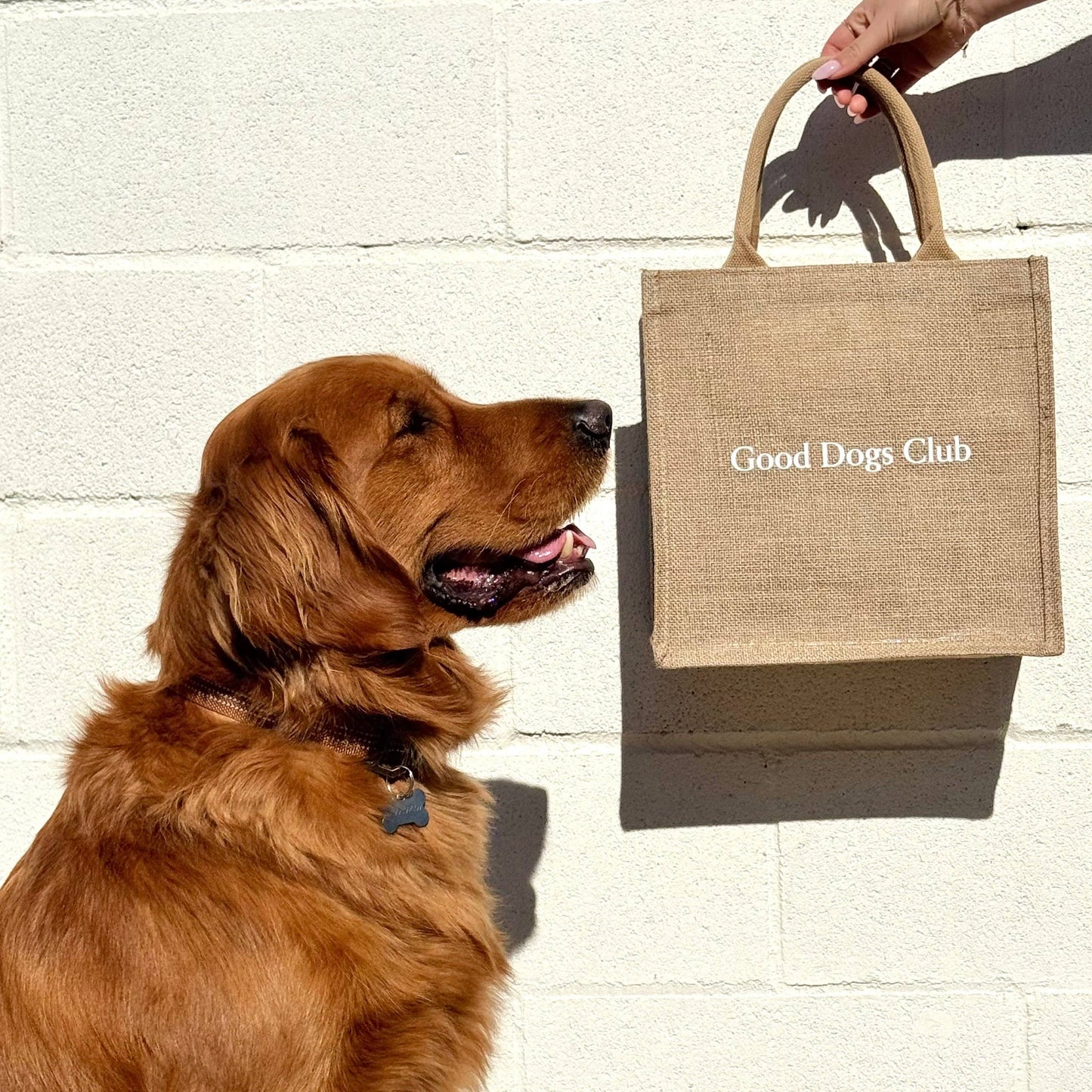 Good Dogs Club Jute Carrying Bag