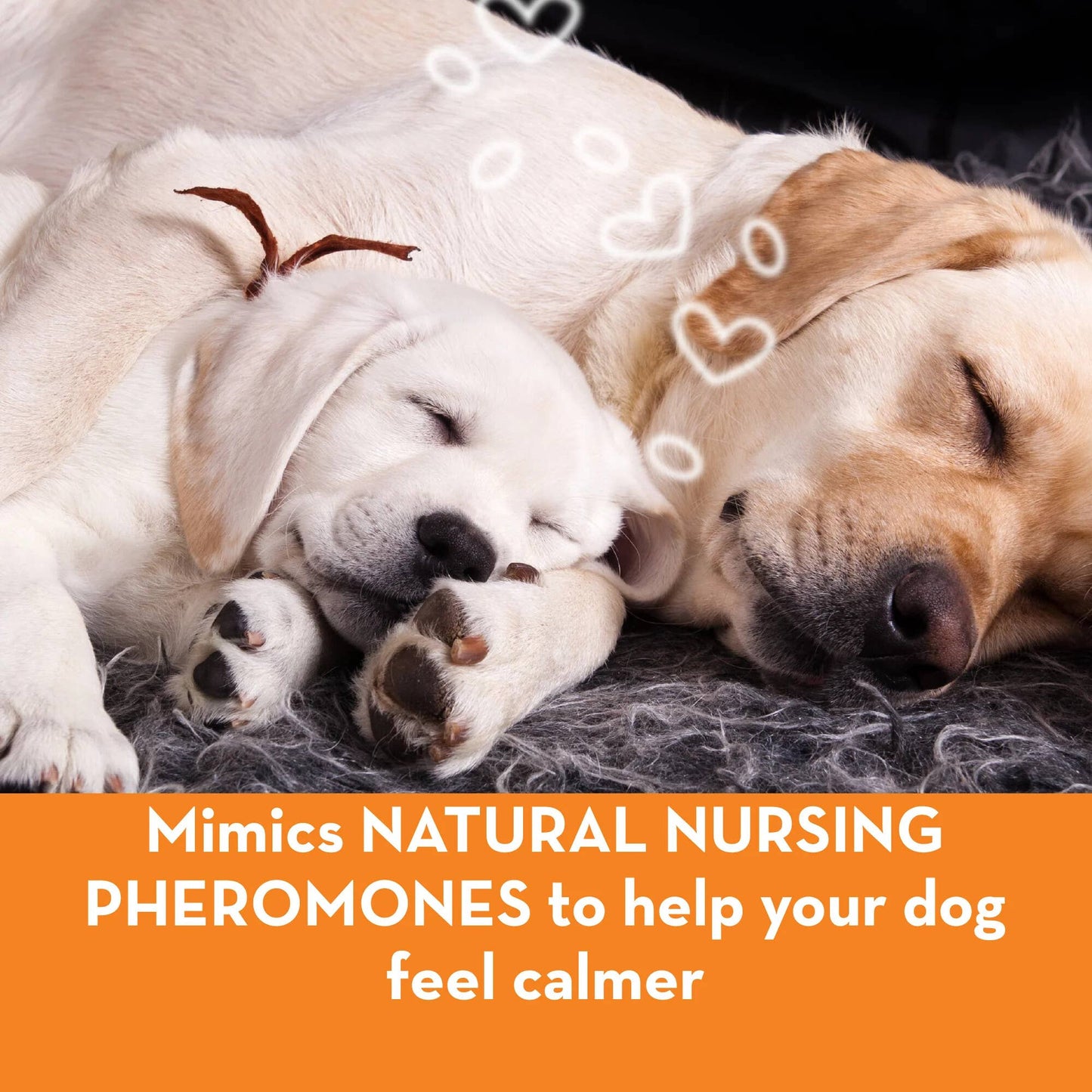 ThunderEase Dog Calming Collar: Small