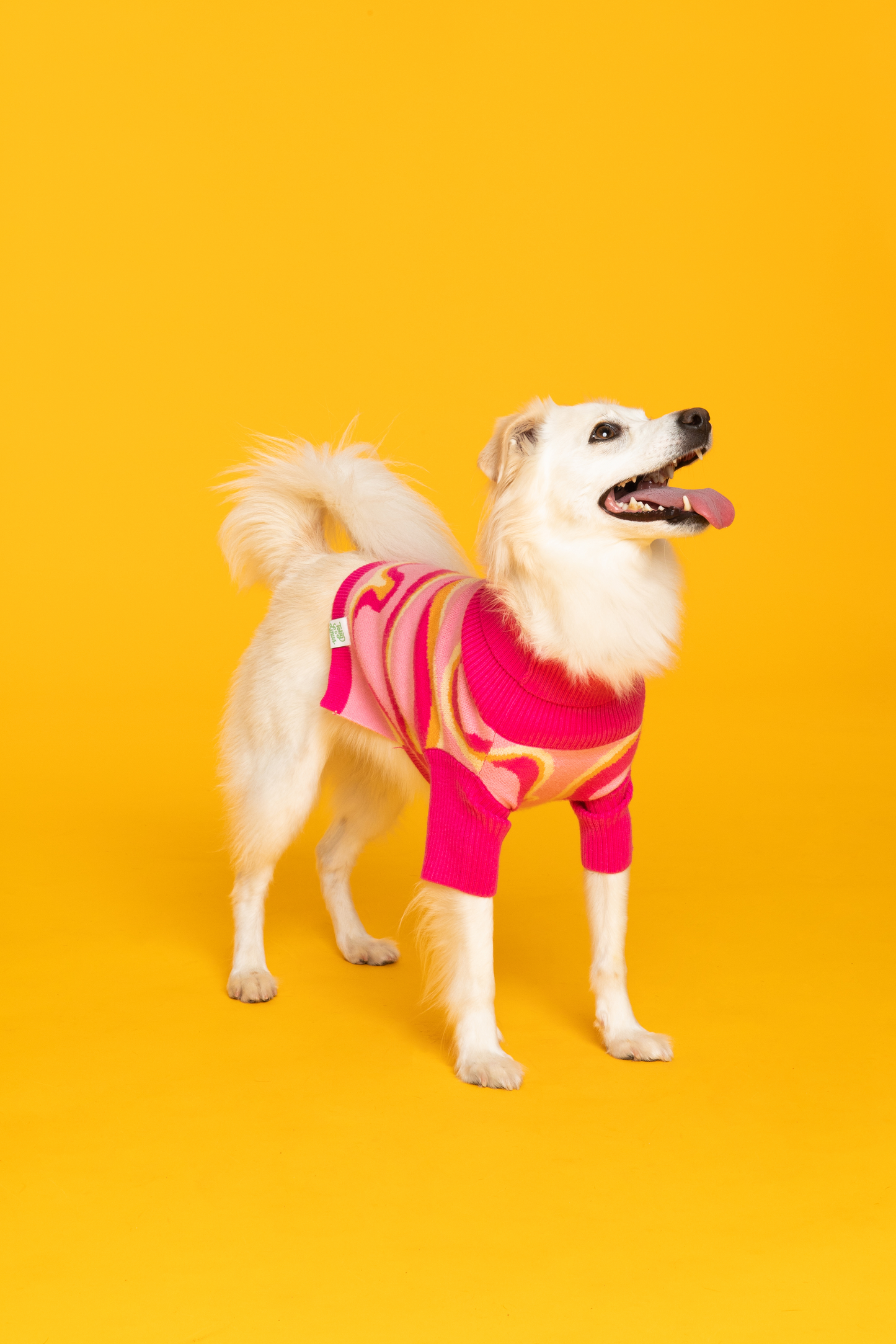 Pink Lemonade Pet Sweater: S