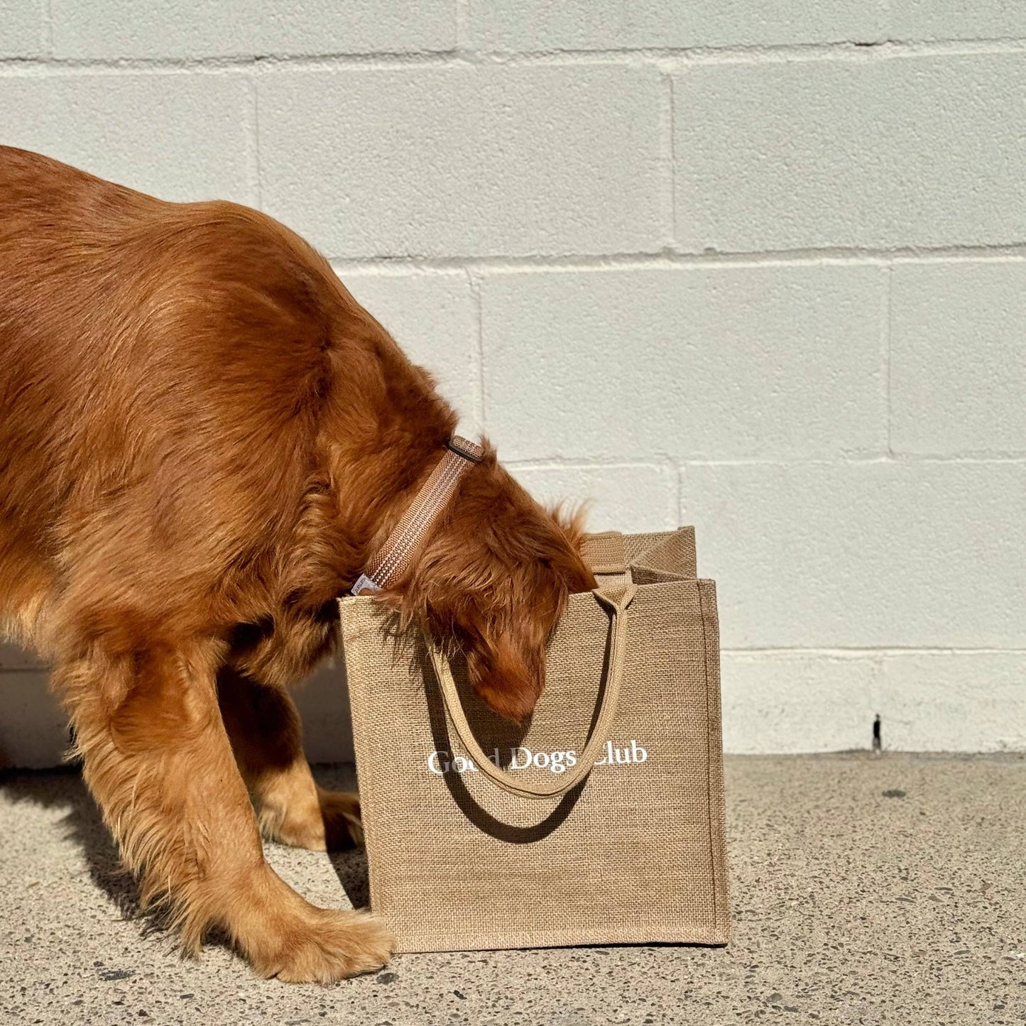 Good Dogs Club Jute Carrying Bag