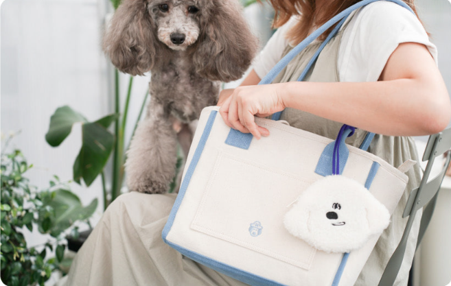 COLD STORAGE BAG: BLUE