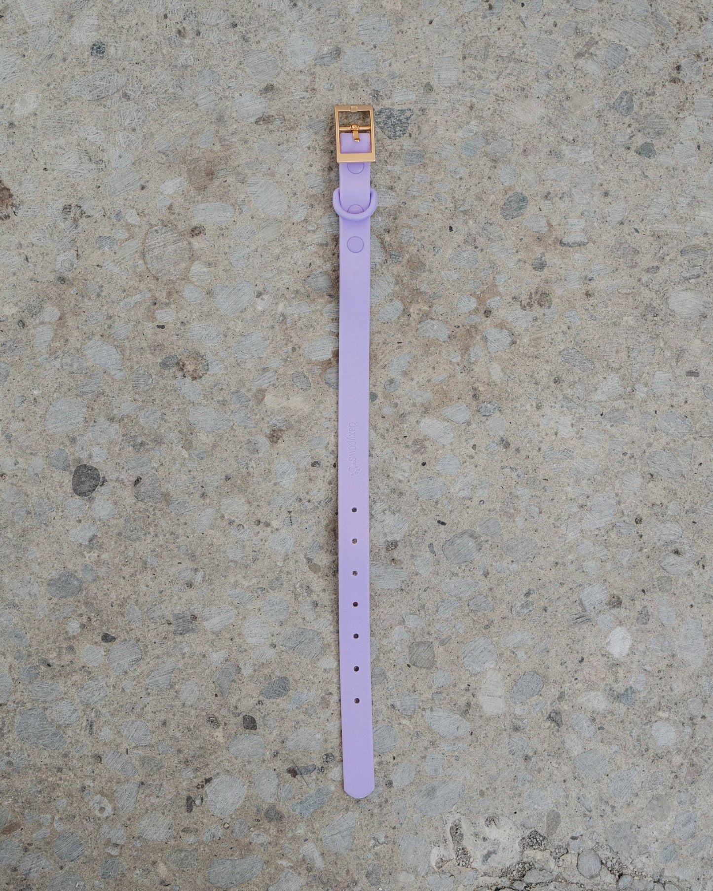 Lilac Waterproof Dog Collar: S
