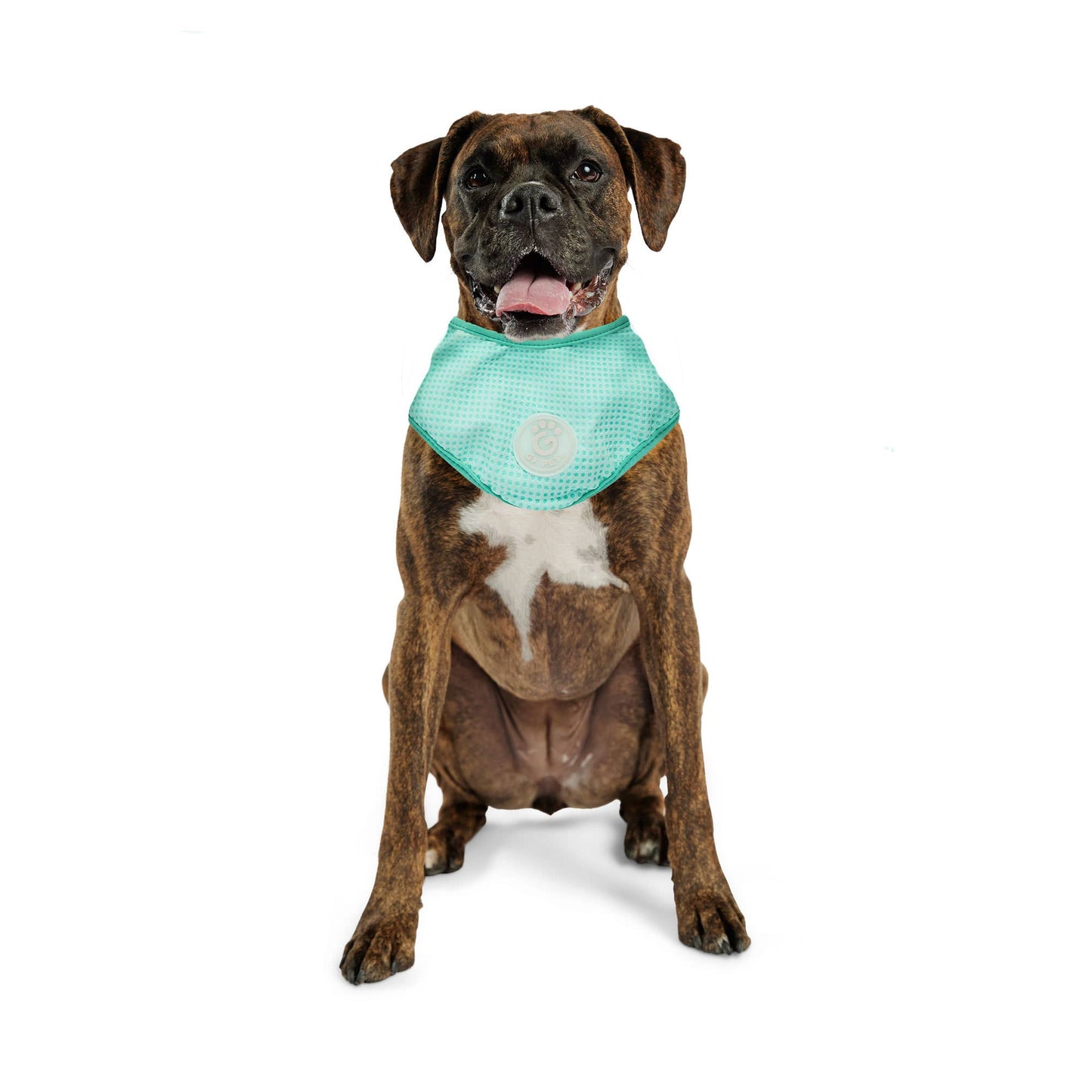 GF PET Ice Band - Dog Cooling Bandana - Aqua: L/XL