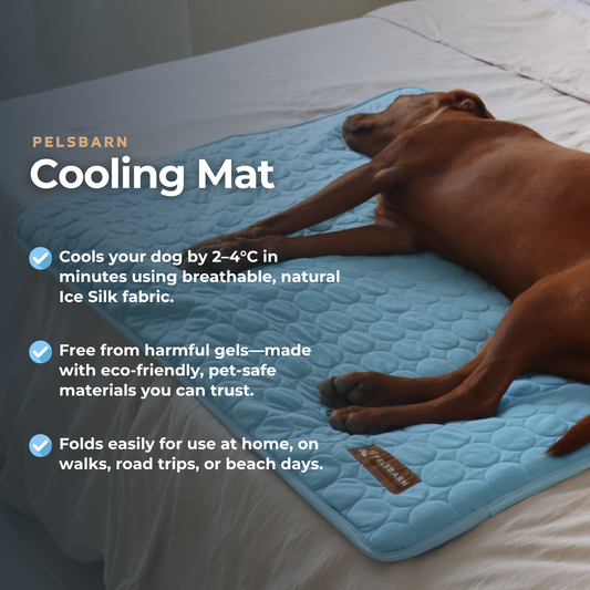 Cooling Mat - Pelsbarn 🐾: Beige / L