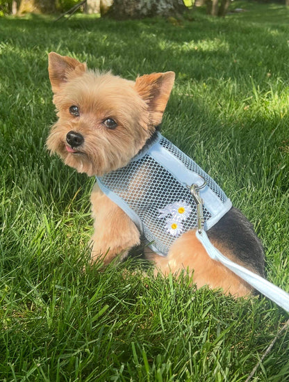 Cool Mesh Dog Harness - Blue Daisy: Small