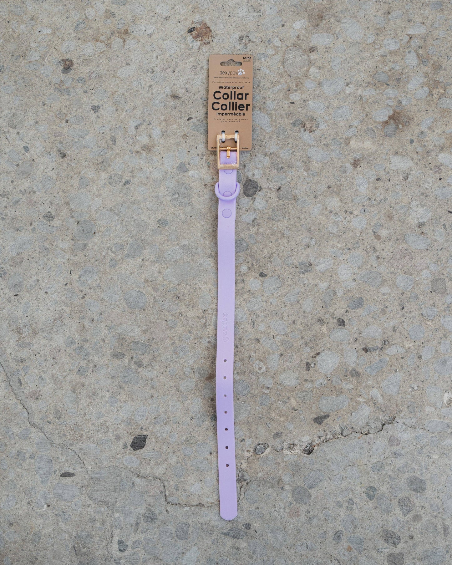 Lilac Waterproof Dog Collar: S