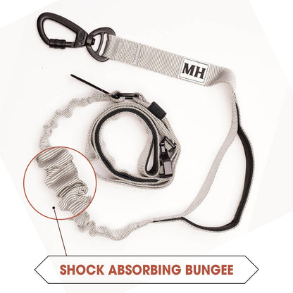 Go Go Gadget- bungee leash