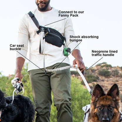 Go Go Gadget- bungee leash