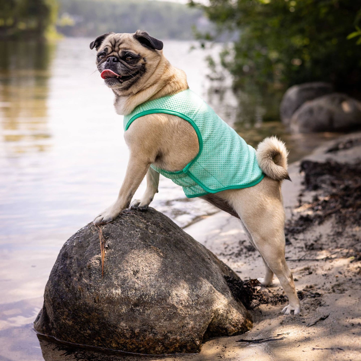 GF PET Elasto-Fit Ice Vest - Aqua: 3XL