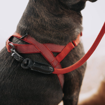 MAGNETIC QUICK CLIP HARNESS: Black / Small