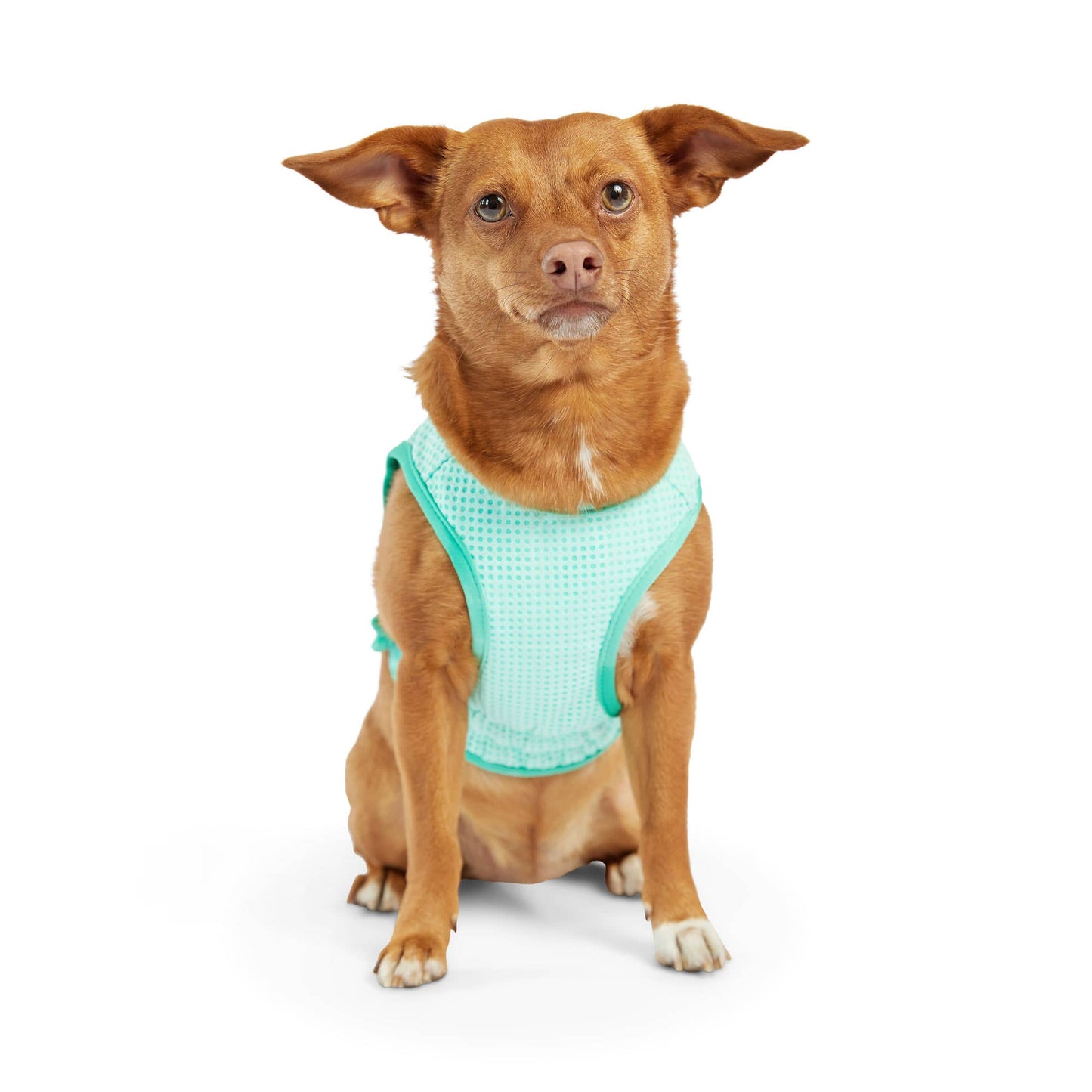 GF PET Elasto-Fit Ice Vest - Aqua: 3XL