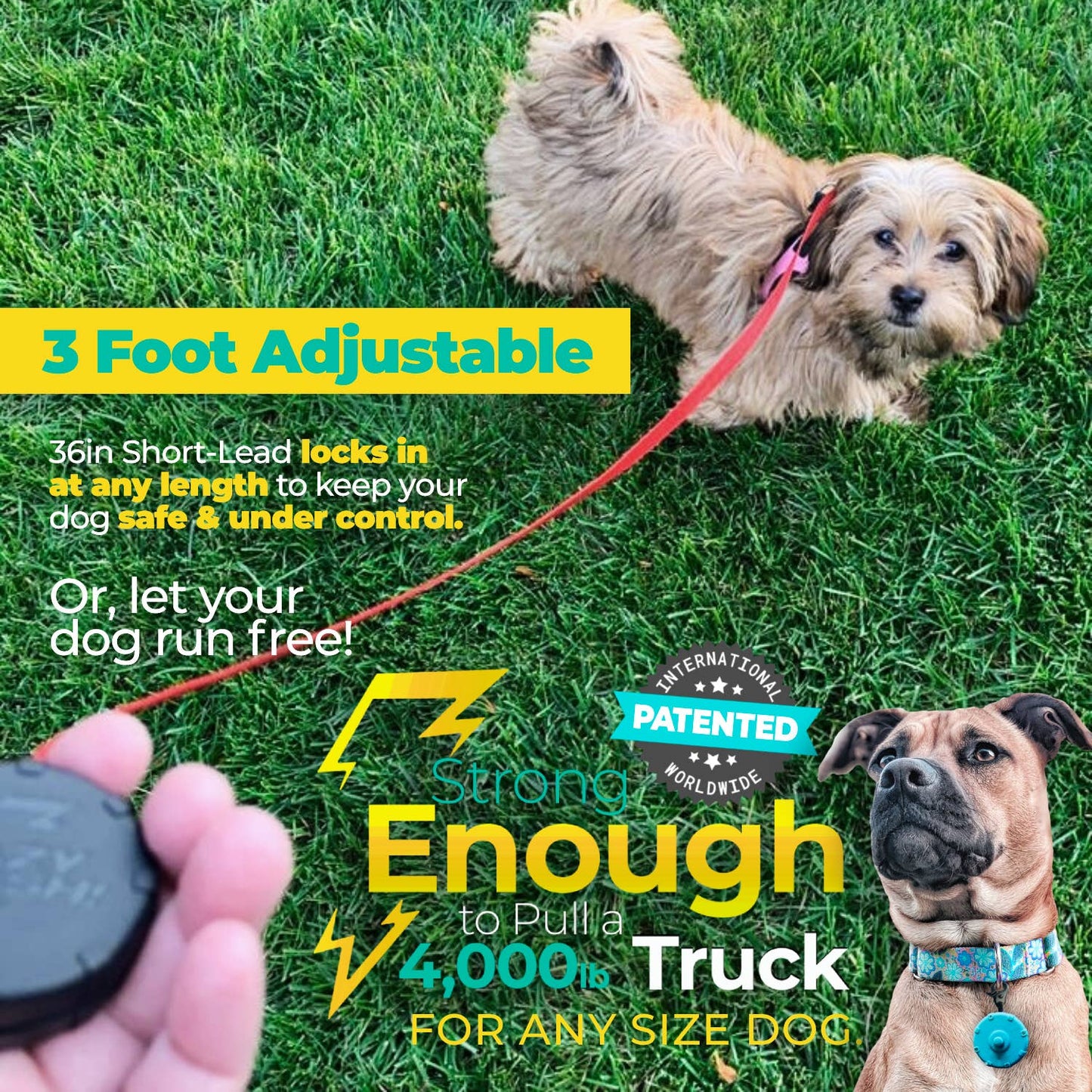 NEW! Lazy Leash! (2pc) Hangers - Pink, Aqua, Gray + Black