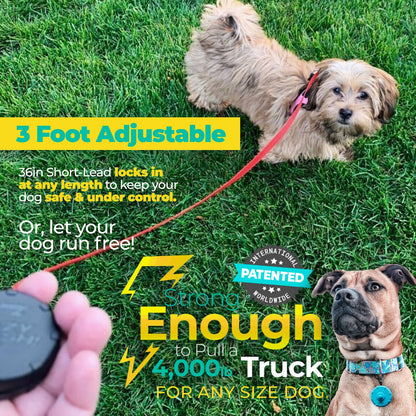 NEW! Lazy Leash! (2pc) Hangers - Pink, Aqua, Gray + Black