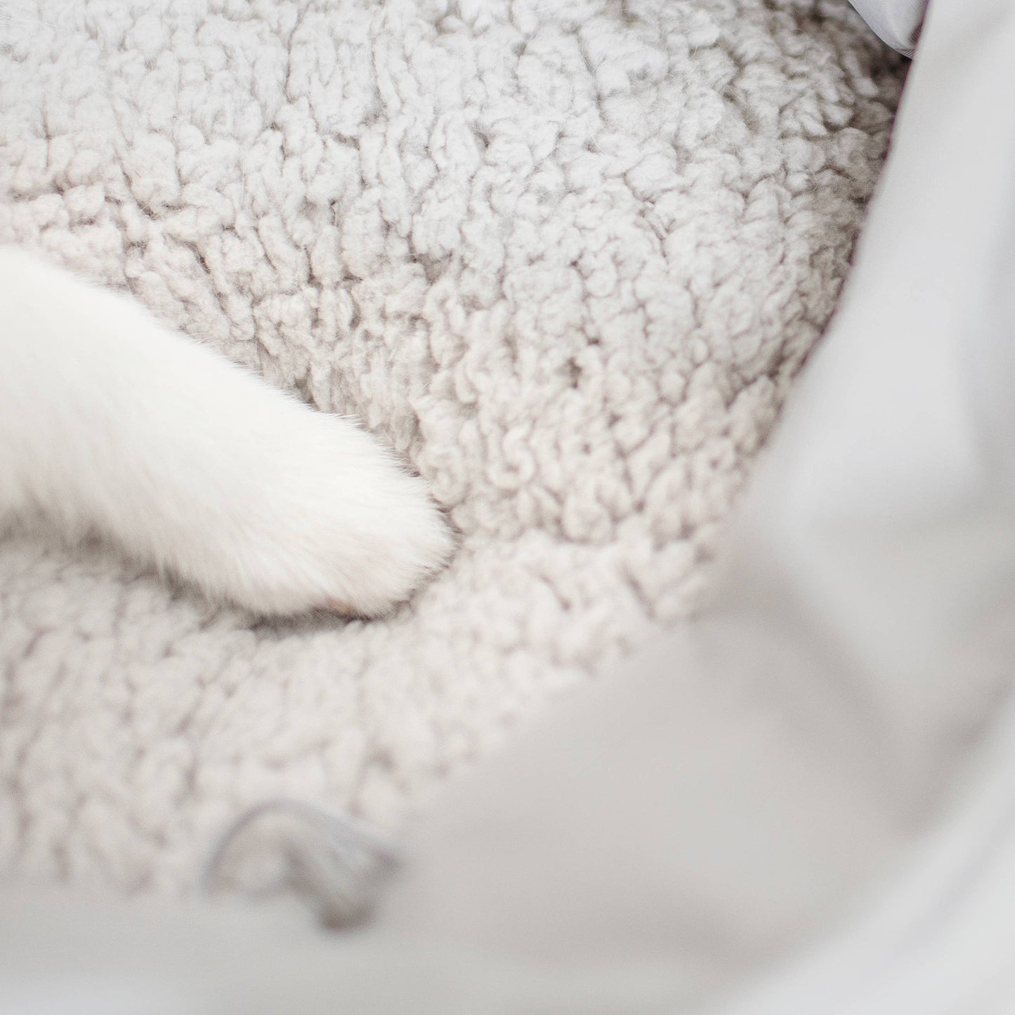 OLLA | PETITE PET CARRYCOT//DOG CARRIER: Camel
