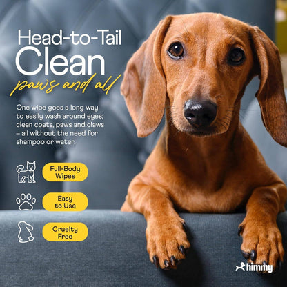Large Pet Wipes for Dogs and Cats: Lavender Bliss / Extra Large  18x30
