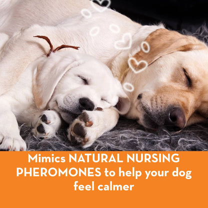 ThunderEase Dog Calming Collar: Small