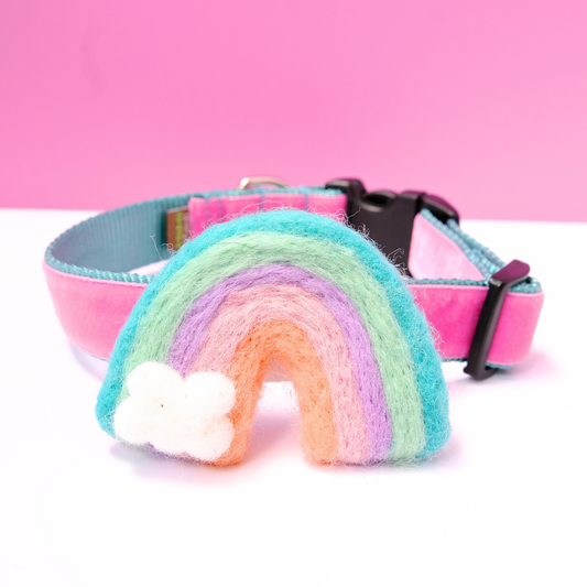 Rainbow Dog Collar Accessory (4 Colors) - Pride: Teal / Fits 5/8" to 3/4"