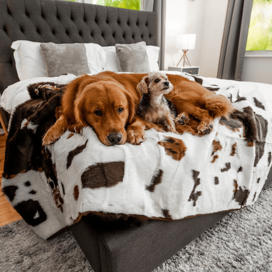 PupProtector™ Waterproof Throw Blanket - Brown Faux Cowhide: Large (80"L x 62"W)
