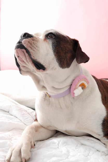 Rainbow Dog Collar Accessory (4 Colors) - Pride: Pastel / Fits 5/8" to 3/4"