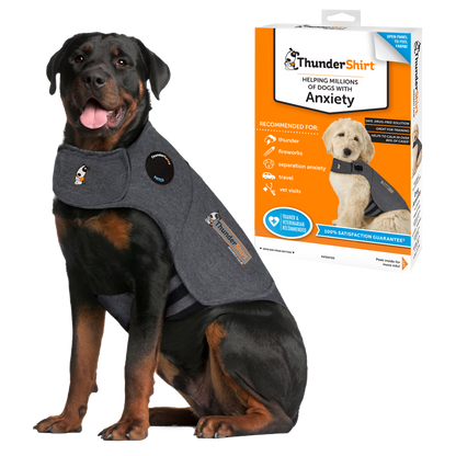 ThunderShirt For Dogs Heather Grey Classic - Dog Anxiety: XLarge