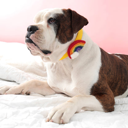 Rainbow Dog Collar Accessory (4 Colors) - Pride: Pastel / Fits 5/8" to 3/4"