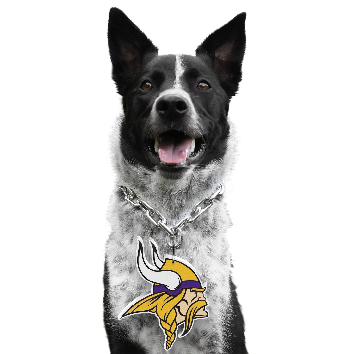 NFL Minnesota Vikings Pet Fan Chain