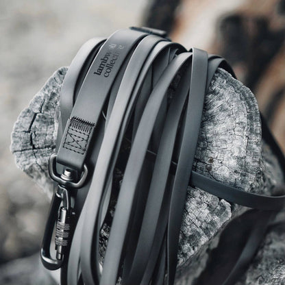 NOMAD | ultralight long line//LONG DOG LEASH: Tide / 20ft/ 6m