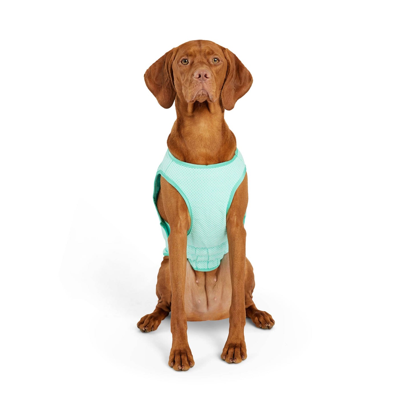 GF PET Elasto-Fit Ice Vest - Aqua: 3XL