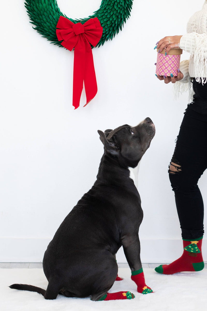 Human and Dog Matching Christmas Sock Set, Christmas Tree