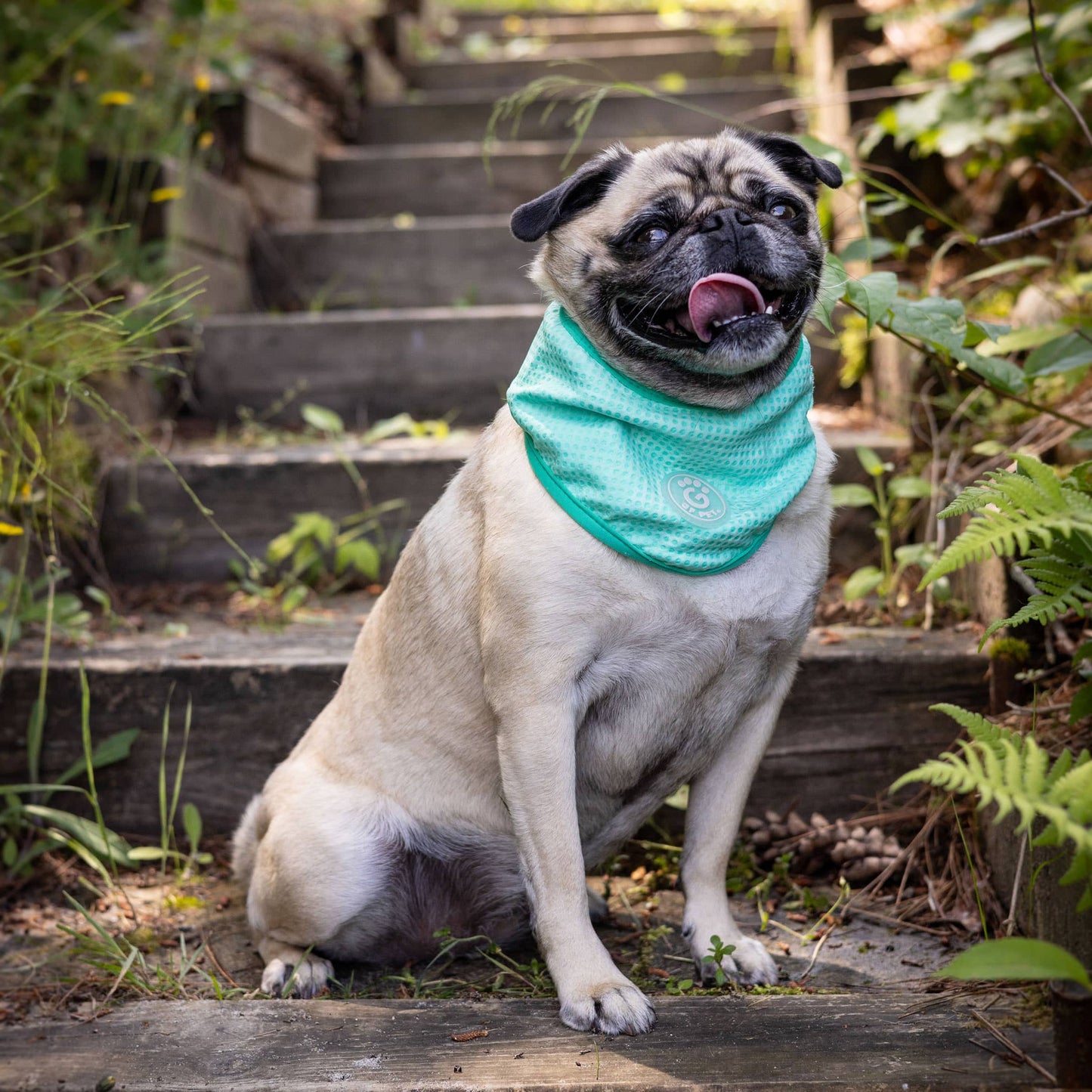 GF PET Ice Band - Dog Cooling Bandana - Aqua: L/XL