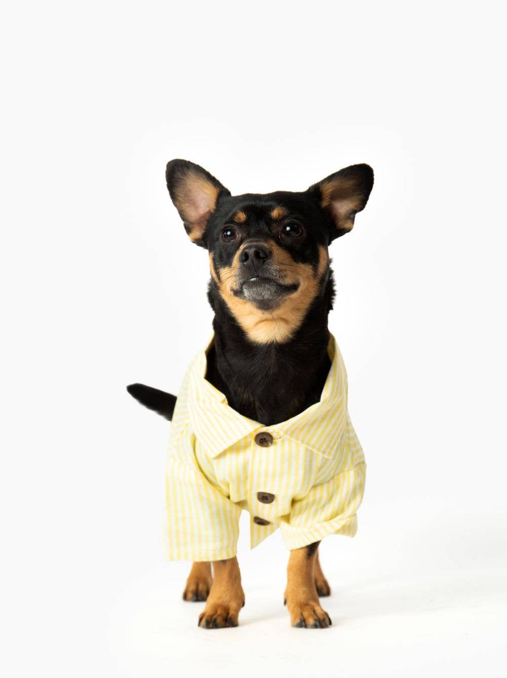 Nantucket Set: Unisex / Boxer Shorts / XS