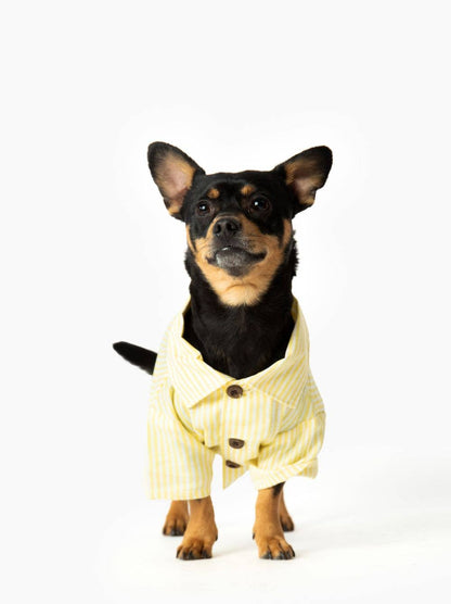 Nantucket Set: Unisex / Boxer Shorts / XS