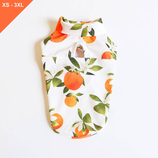 [NEW] LCB Orange Cooling Jacket: 3XL