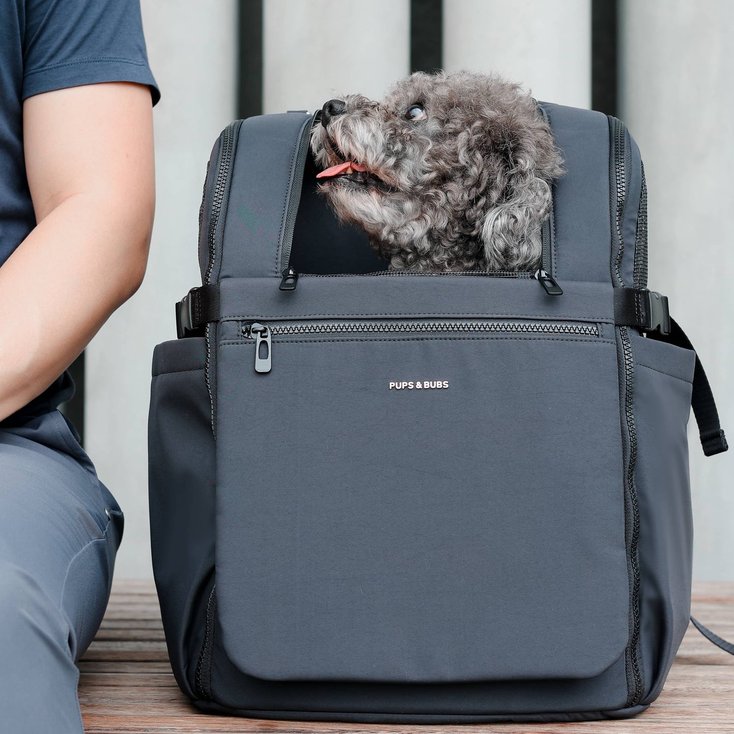 Traveler Pet Carrier Backpack | Dog Carrier | Cat Carrier: Desert