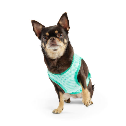 GF PET Elasto-Fit Ice Vest - Aqua: 3XL