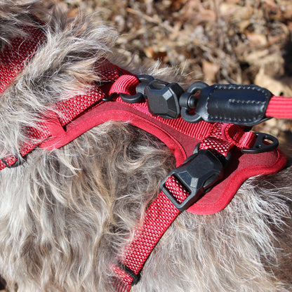 MAGNETIC QUICK CLIP CONTROL HARNESS: Blue / Large