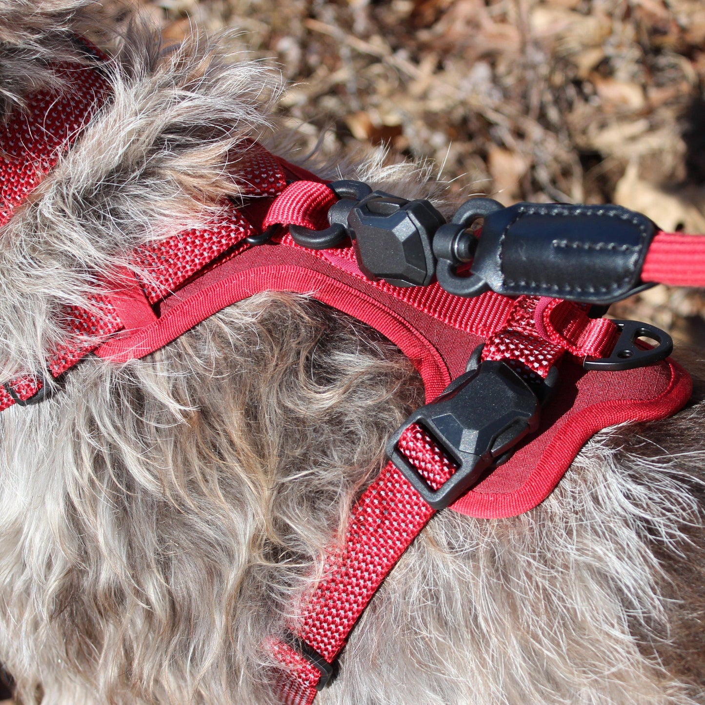 MAGNETIC QUICK CLIP CONTROL HARNESS: Black / Large