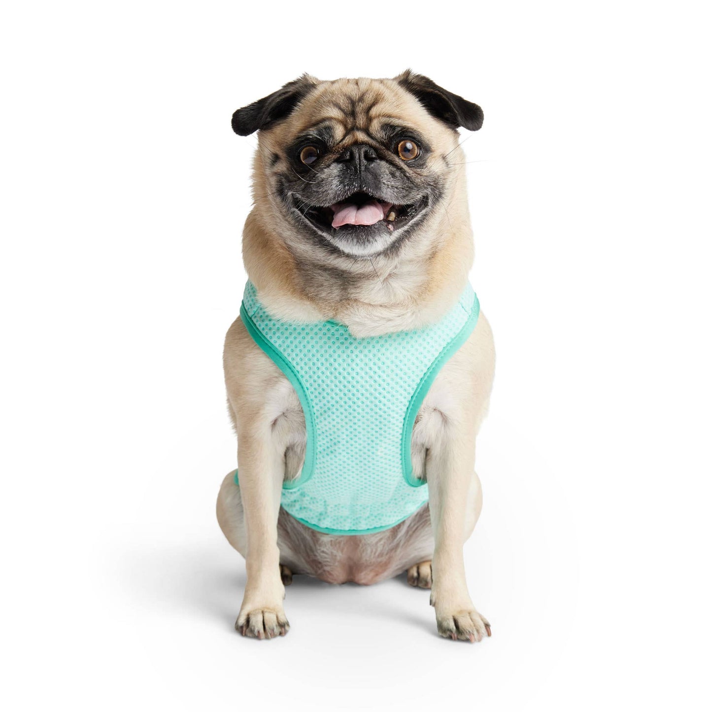 GF PET Elasto-Fit Ice Vest - Aqua: 3XL
