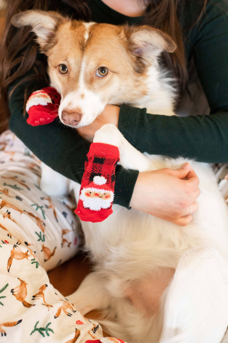 Human and Dog Matching Christmas Sock Set, Santa