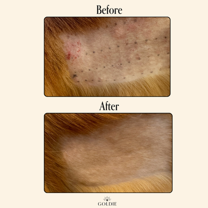 Miracle Mist: 4 oz