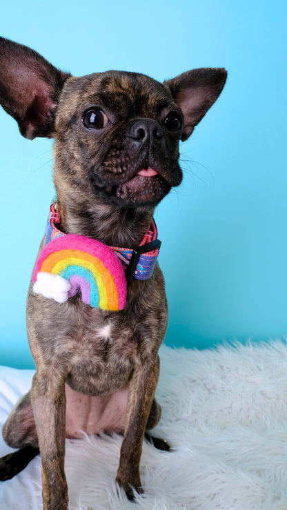 Rainbow Dog Collar Accessory (4 Colors) - Pride: Pastel / Fits 5/8" to 3/4"