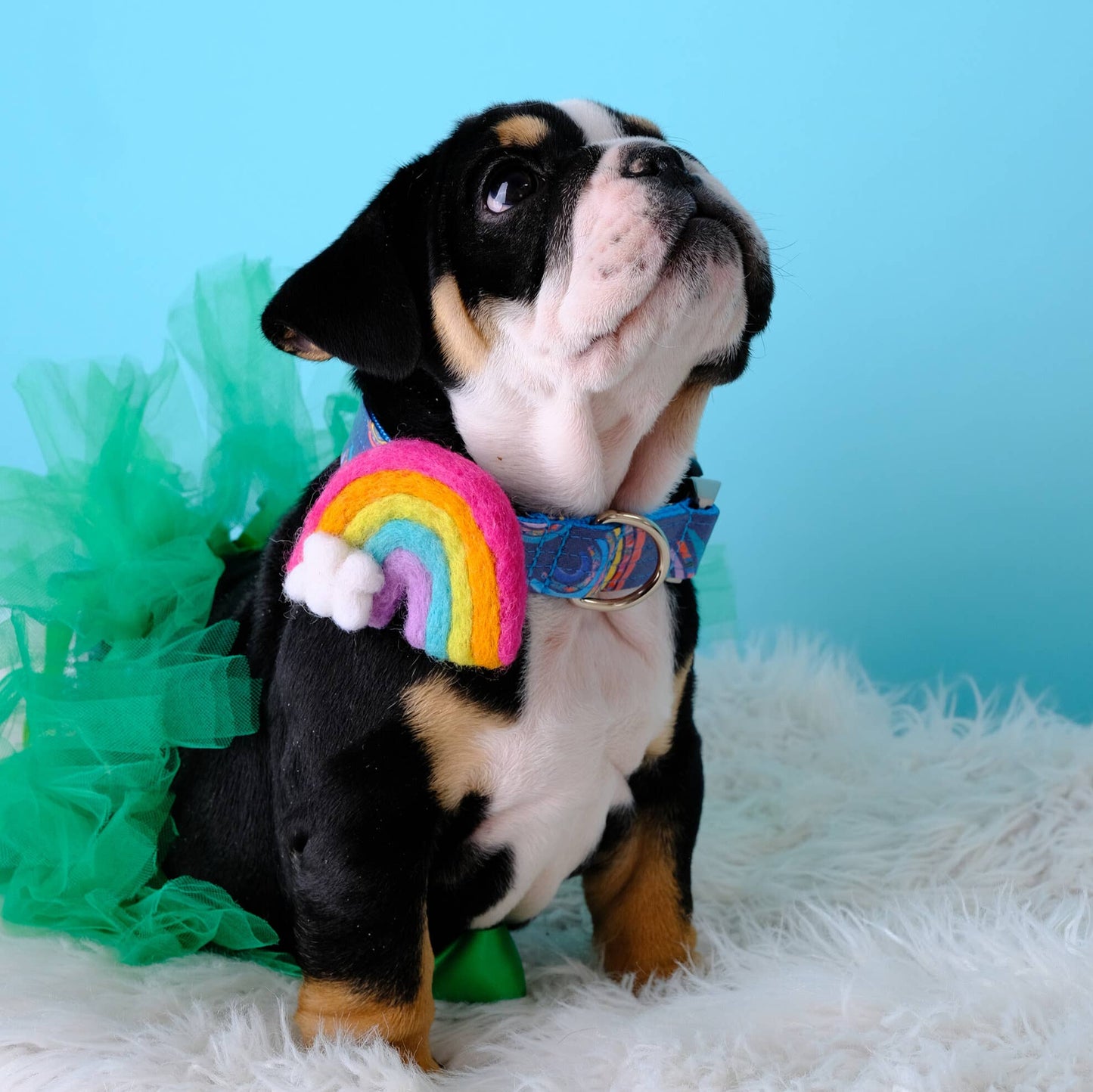 Rainbow Dog Collar Accessory (4 Colors) - Pride: Pastel / Fits 5/8" to 3/4"