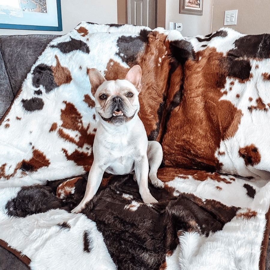 PupProtector™ Waterproof Throw Blanket - Brown Faux Cowhide: Large (80"L x 62"W)