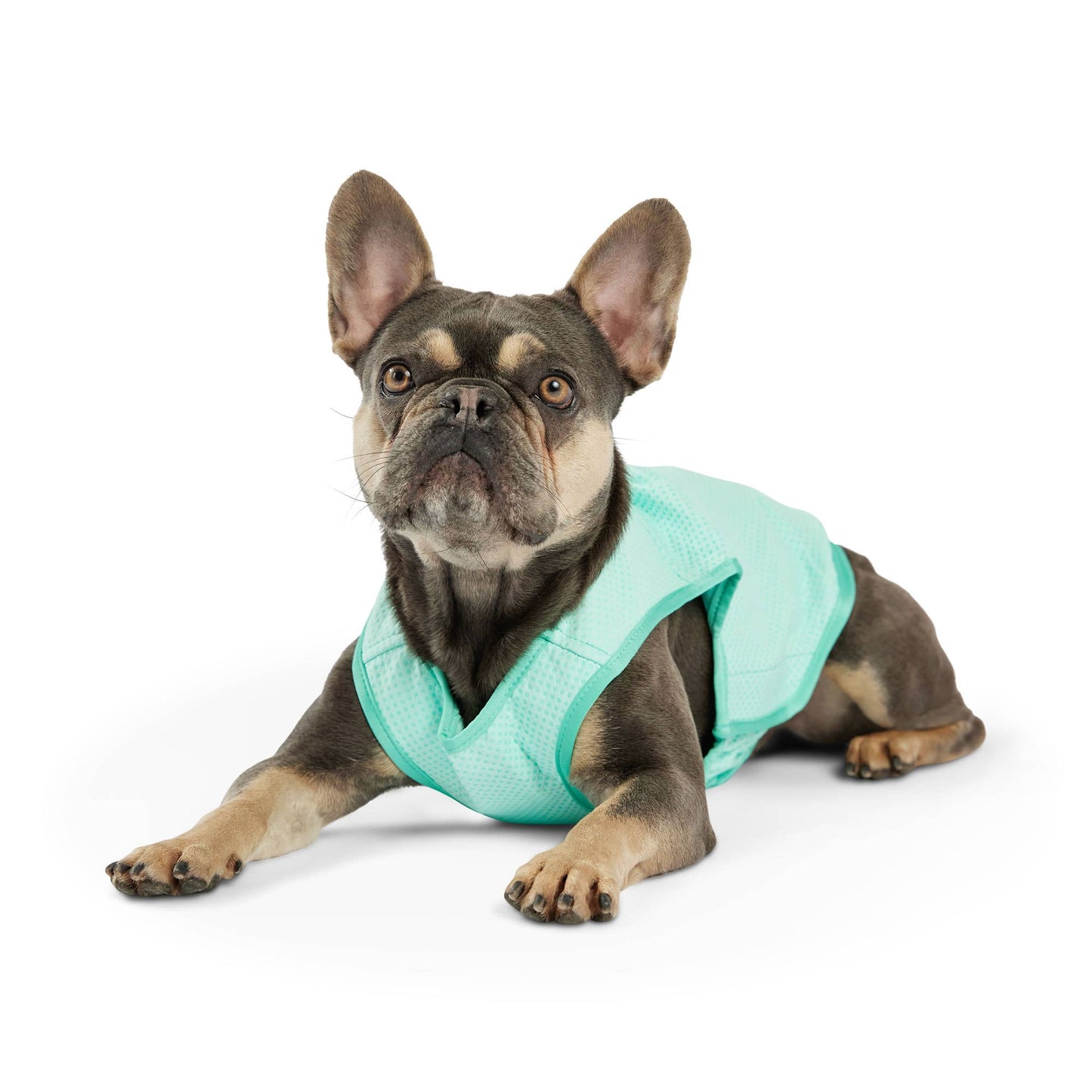 GF PET Elasto-Fit Ice Vest - Aqua: 3XL