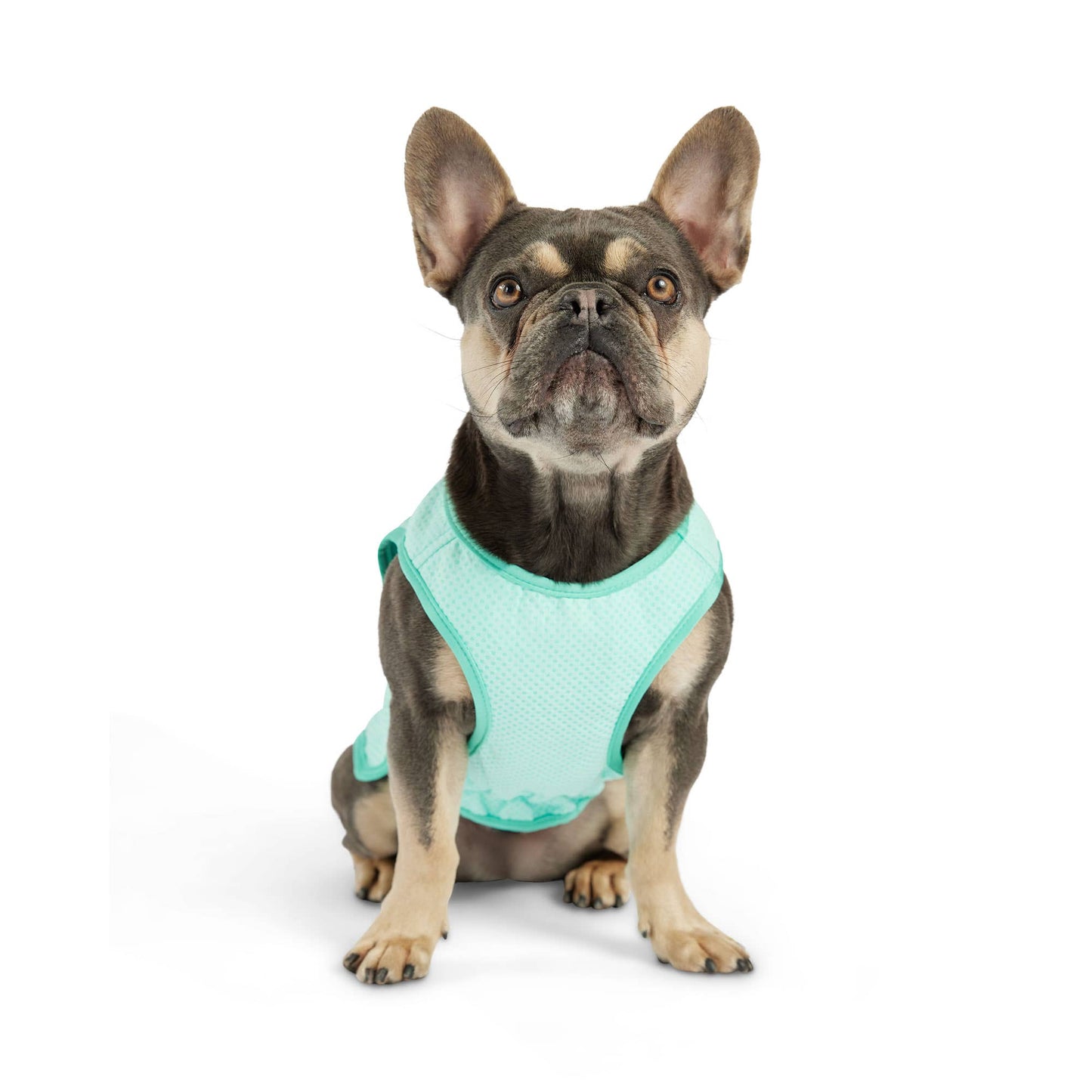 GF PET Elasto-Fit Ice Vest - Aqua: 3XL