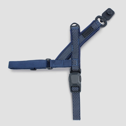 MAGNETIC QUICK CLIP HARNESS: Blue / Small