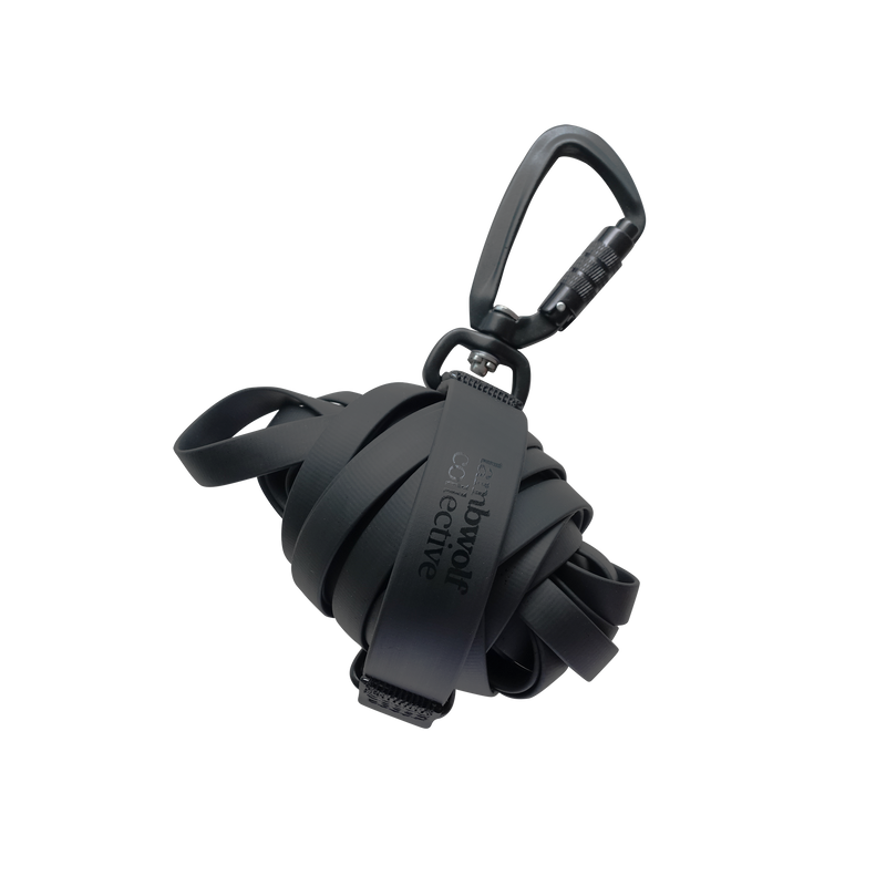 NOMAD | ultralight long line//LONG DOG LEASH: Tide / 20ft/ 6m