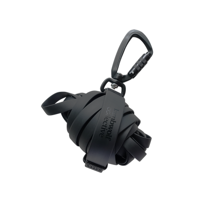 NOMAD | ultralight long line//LONG DOG LEASH: Tide / 20ft/ 6m