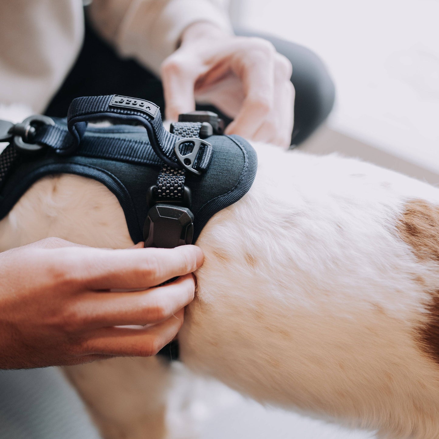 MAGNETIC QUICK CLIP CONTROL HARNESS: Blue / Large