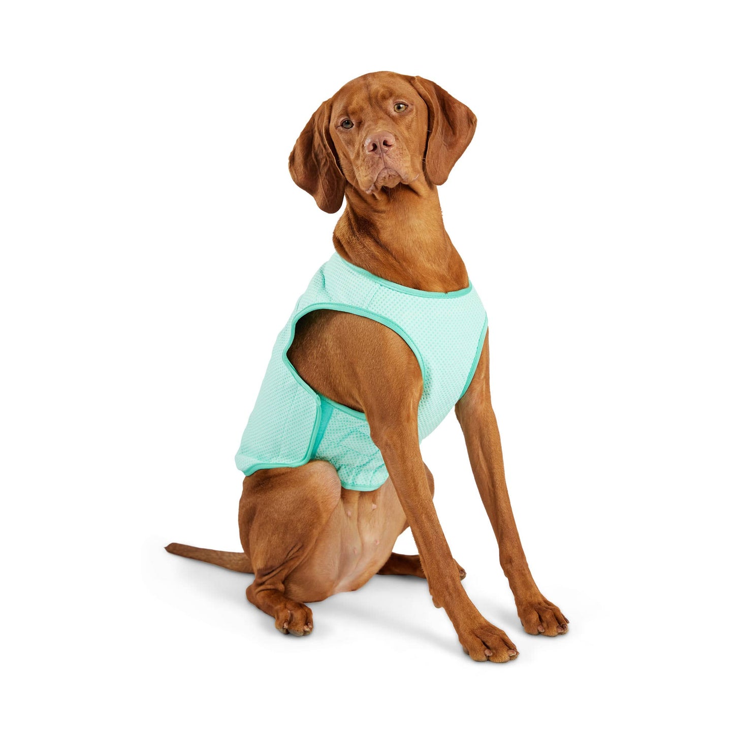 GF PET Elasto-Fit Ice Vest - Aqua: 3XL